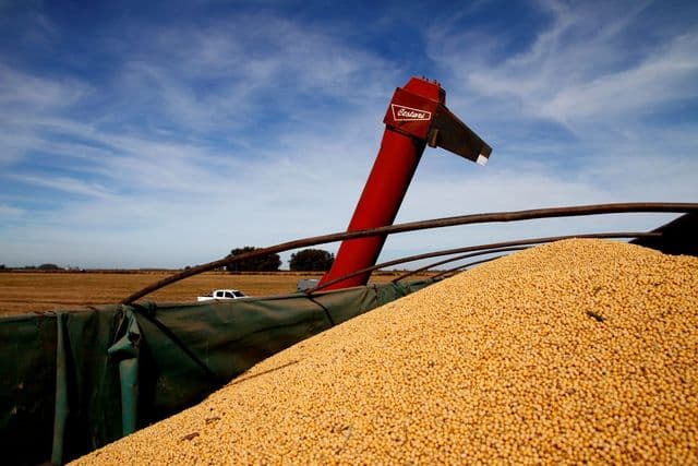 Con el empuje de los granos, el agro exportó US$ 22.394 millones en los primeros cinco meses del año
