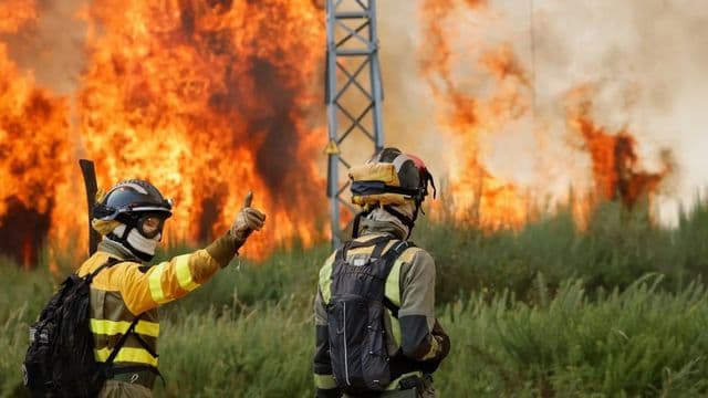 Incendios forestales quemaron más de 17.000 hectáreas en Francia, España y Portugal
